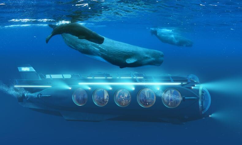 safari submarino con ballenas. safari submarino con ballenas