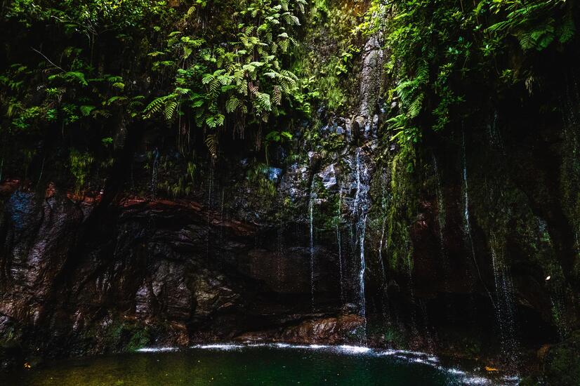 viaje lujo madeira bosque laurisilva