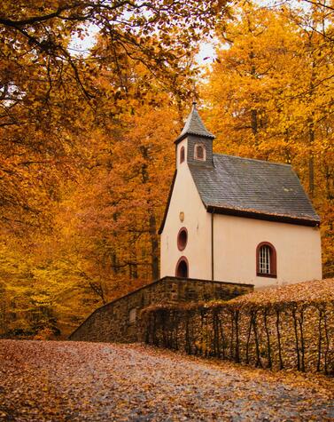 viaje renania otoño alemania