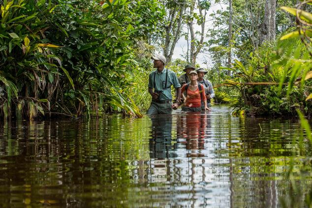 viaje lujo treking gorilas en Ruanda