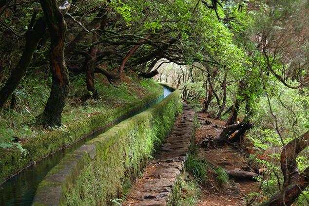 viaje lujo madeira levada