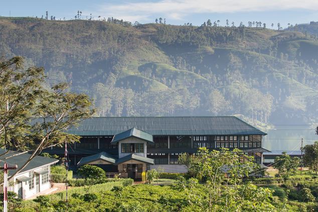 viaje lujo sri lanka dunkeld tea factory