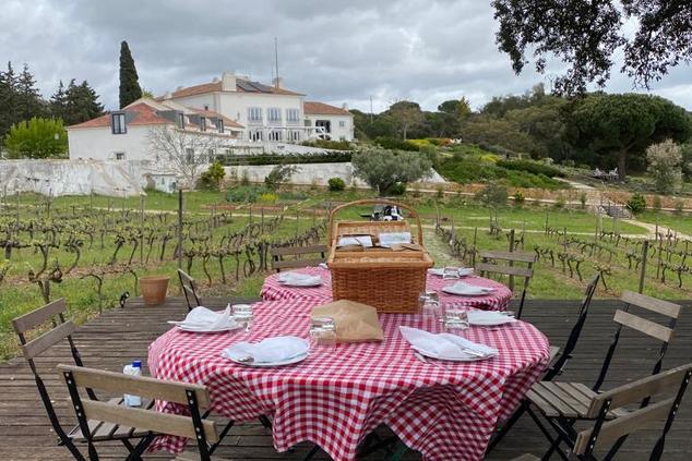 picnic casa palmela viñas