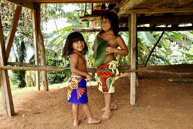 Los emberá es una tribu amerindia que vive al Este de Panamá.