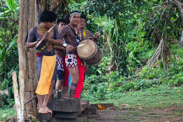 Los emberá es una tribu amerindia que vive al Este de Panamá.