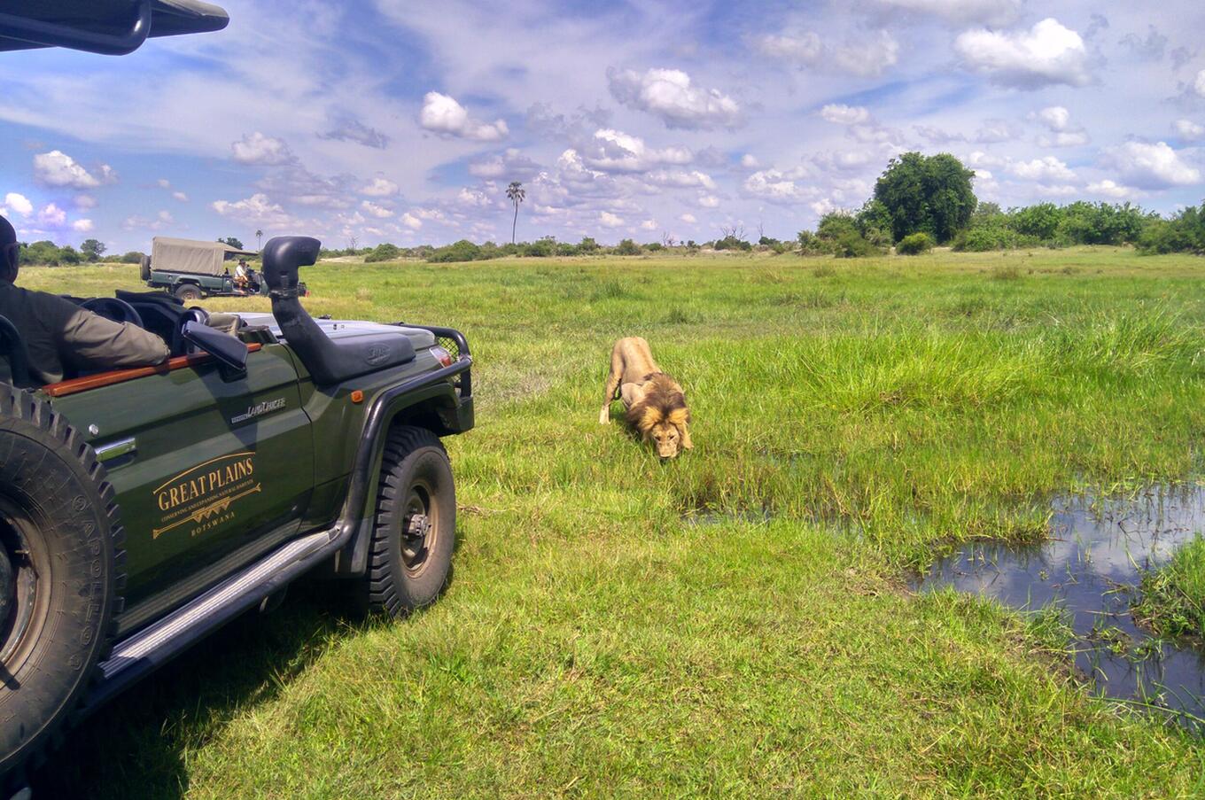 viaje lujo Africa Botsuana safari Okavango