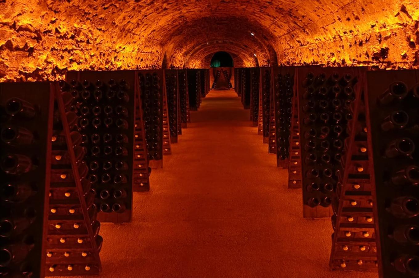 bodega veuve cliquot reims champagne