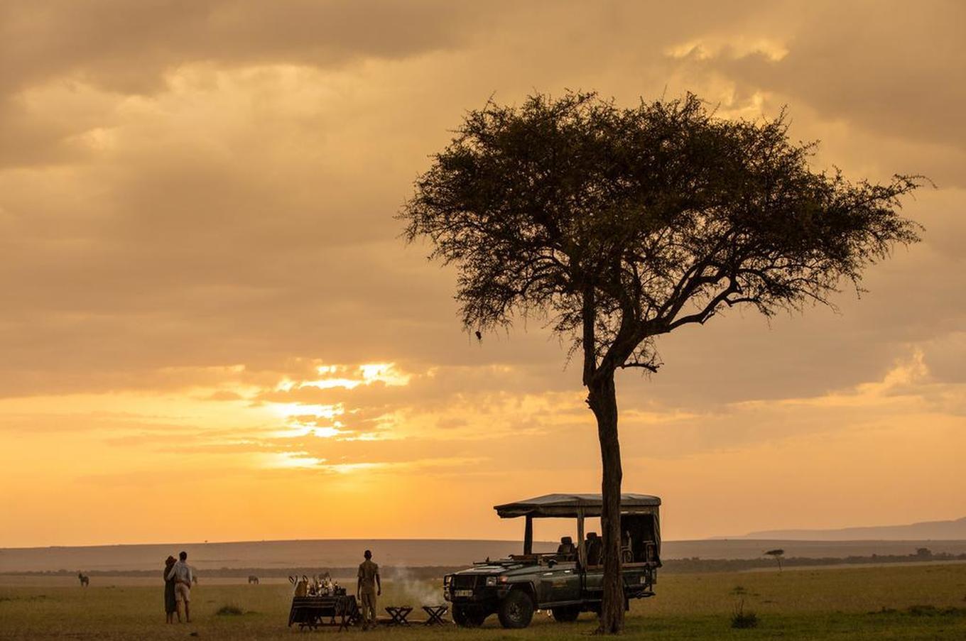 Mara Plains Camp