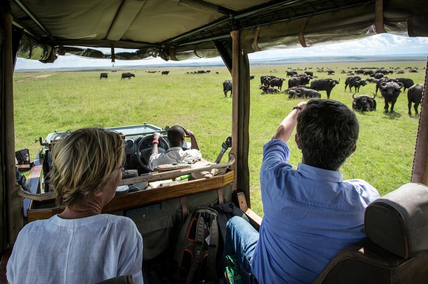 Mara Plains Camp