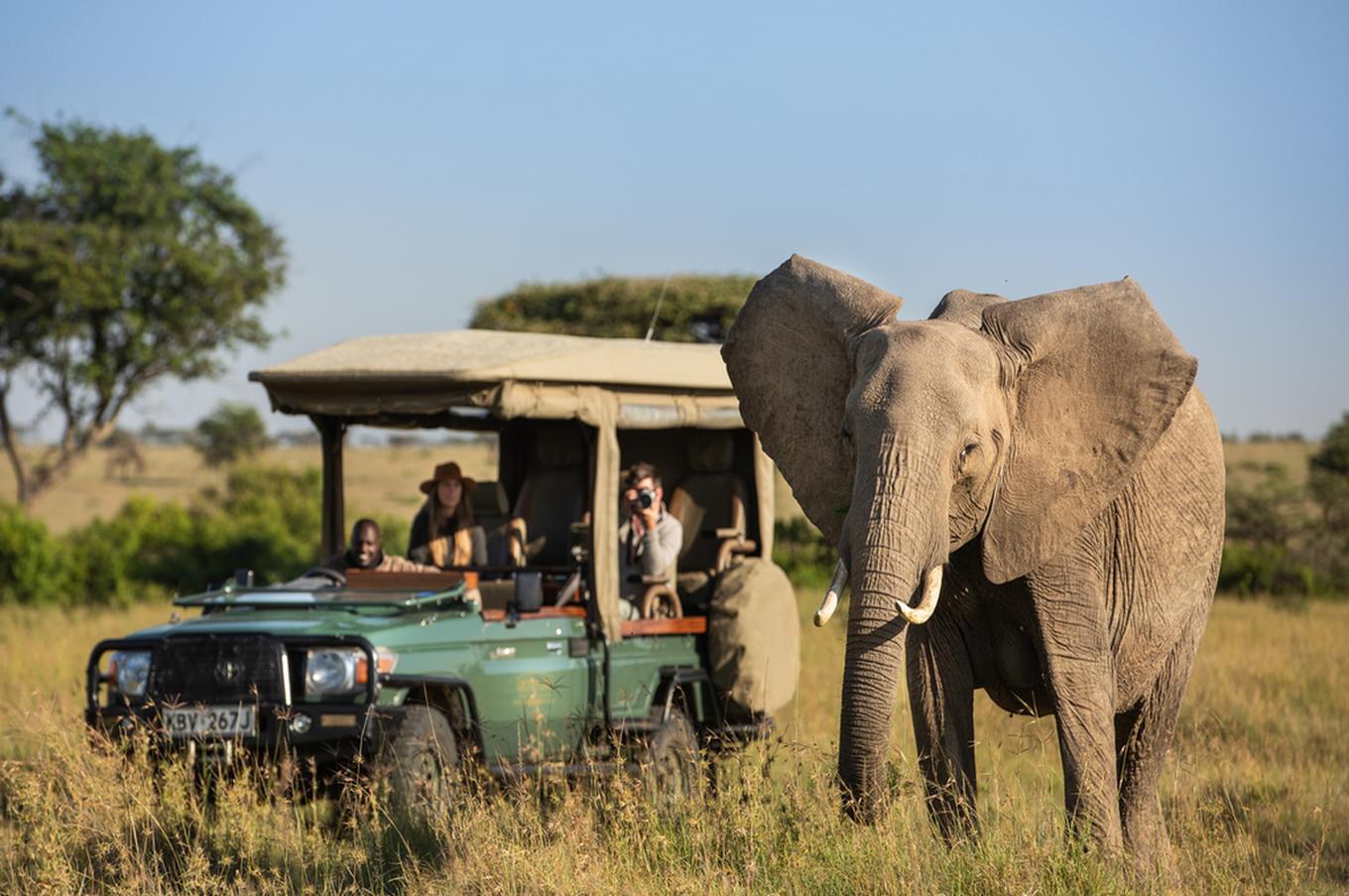 Mara Plains Camp