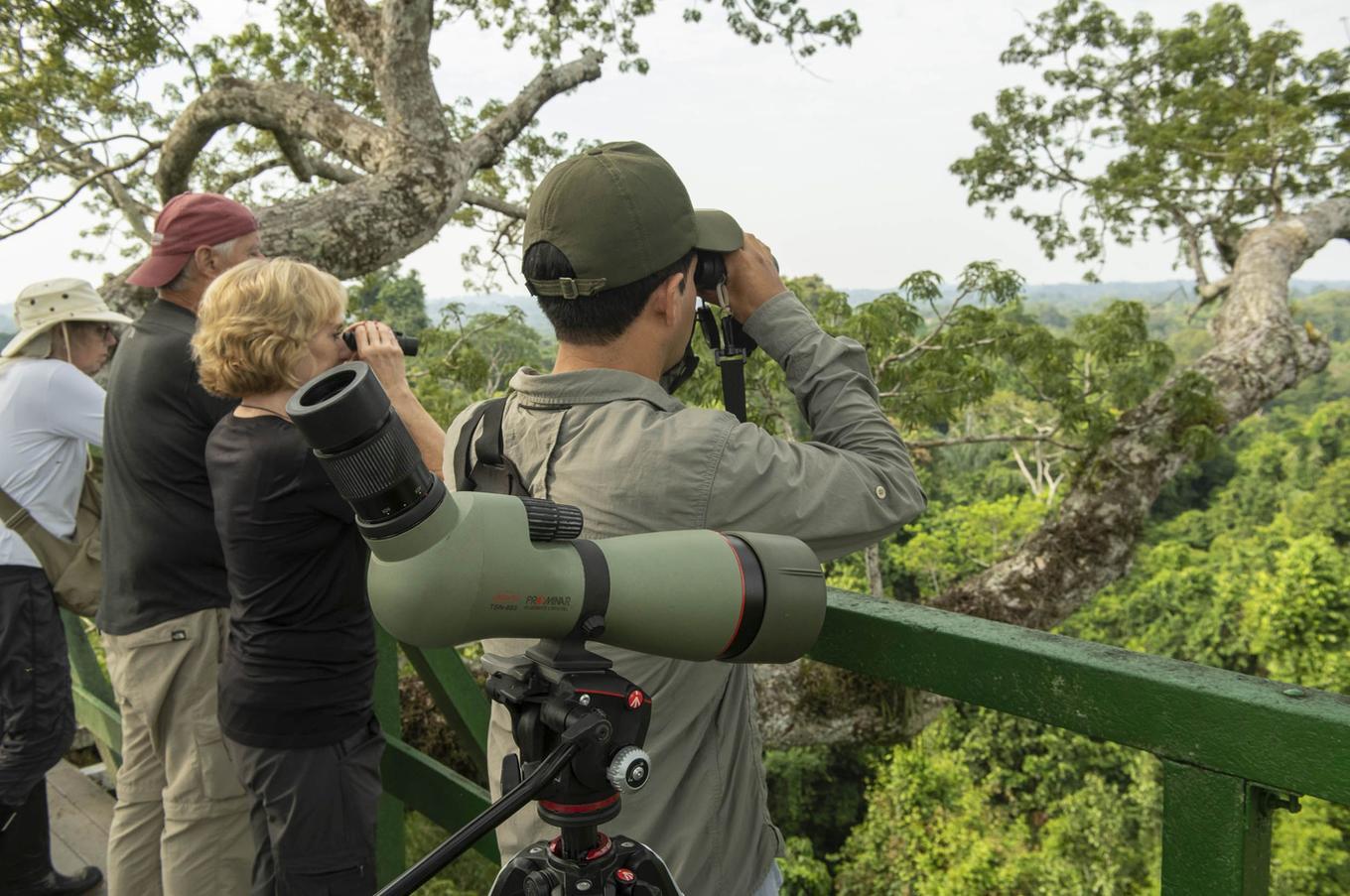 Naturaleza viva en Napo Wildlife Center