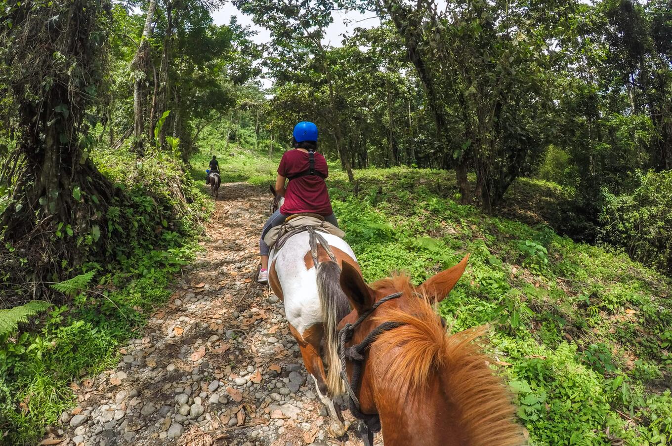 Paseo con caballos por Costa Rica