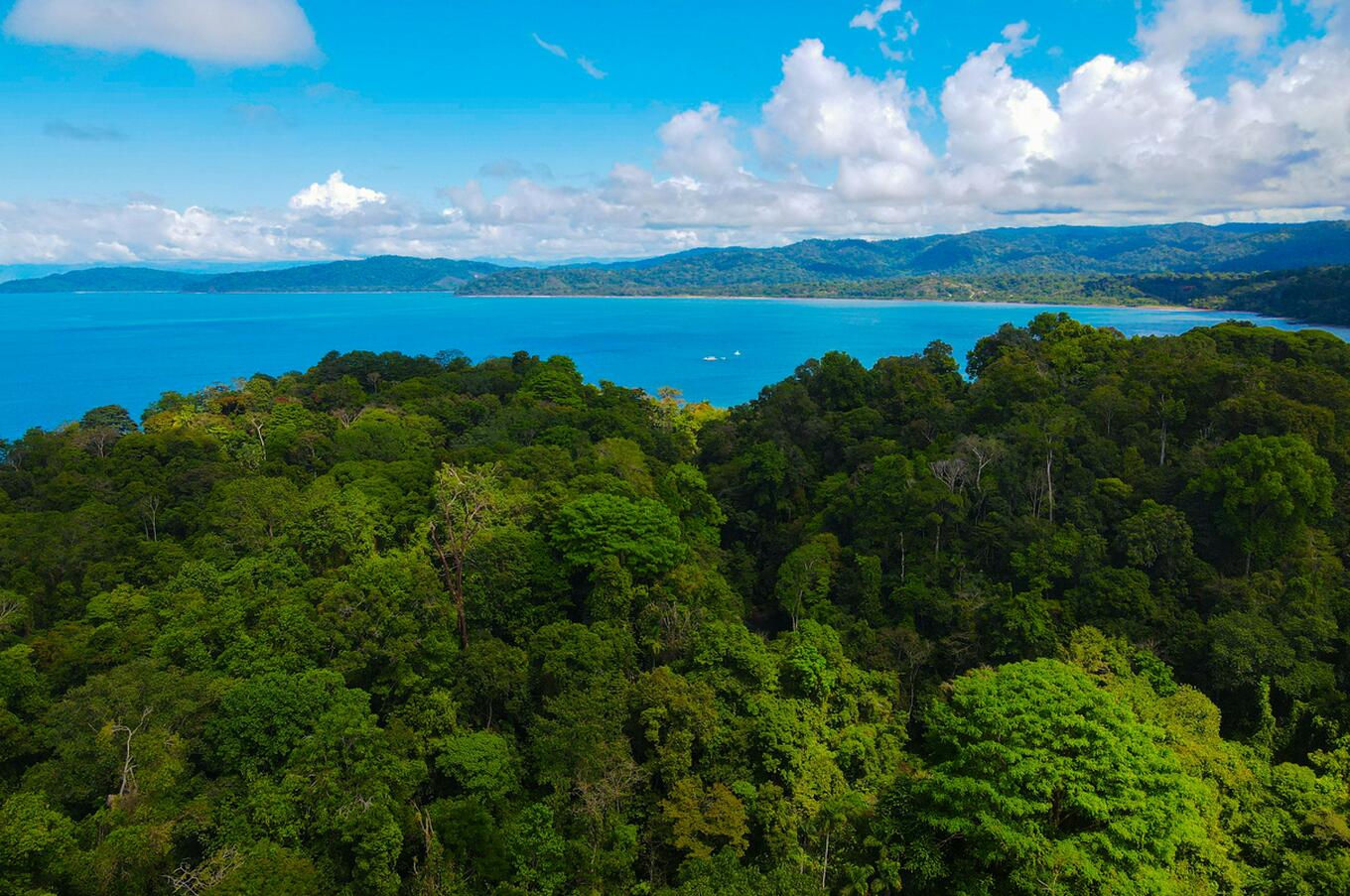 Bahía Drake. Foto: Florian Delee.