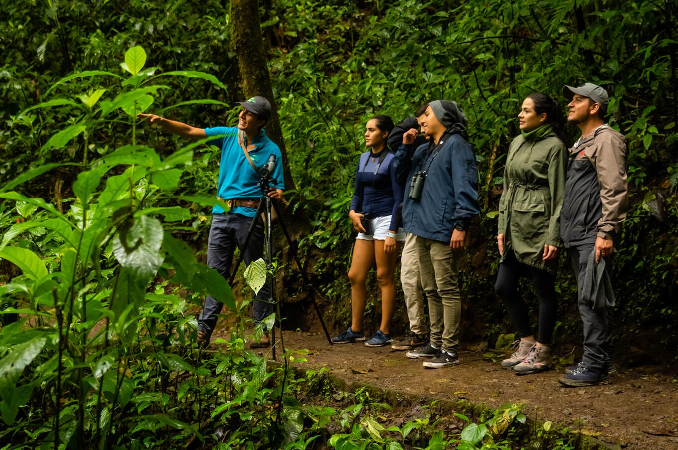 Aprendiendo de la vida en Monteverde.