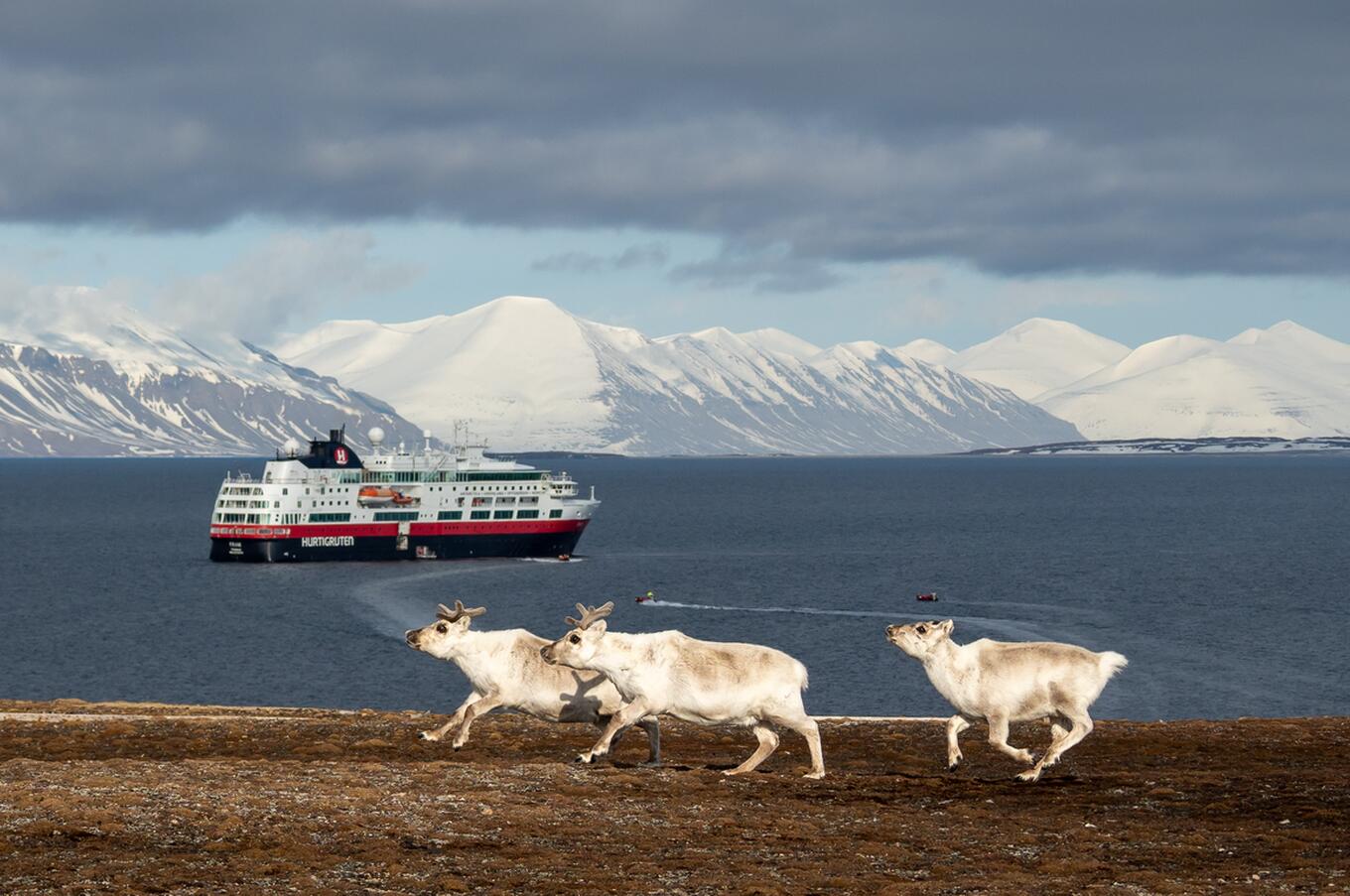 Hurtigruten Svalbard