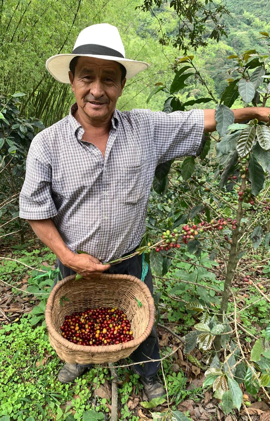 viaje eje cafetero colombia Quindio