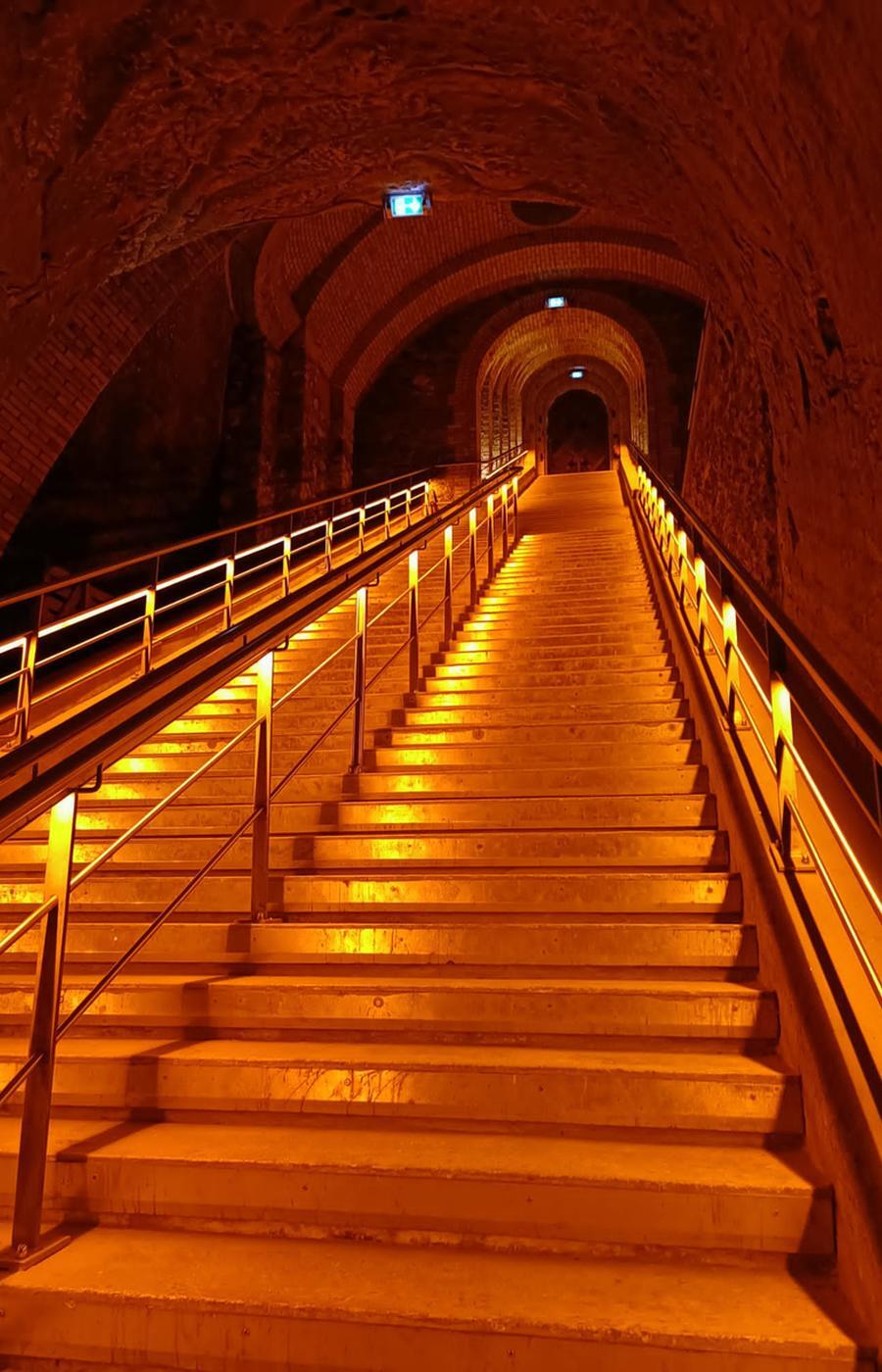 bodega veuve cliquot reims