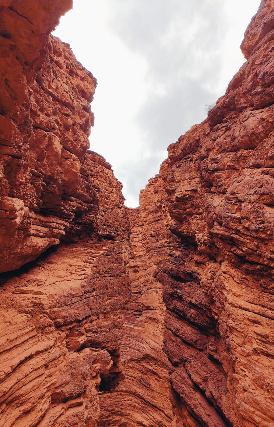 cafayate 