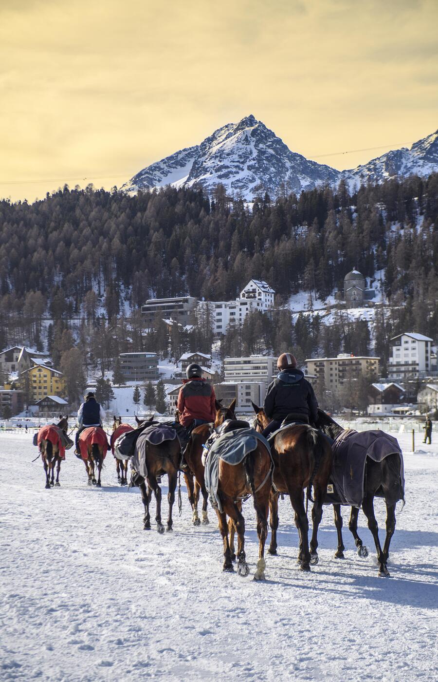 Snow polo St. Moritz