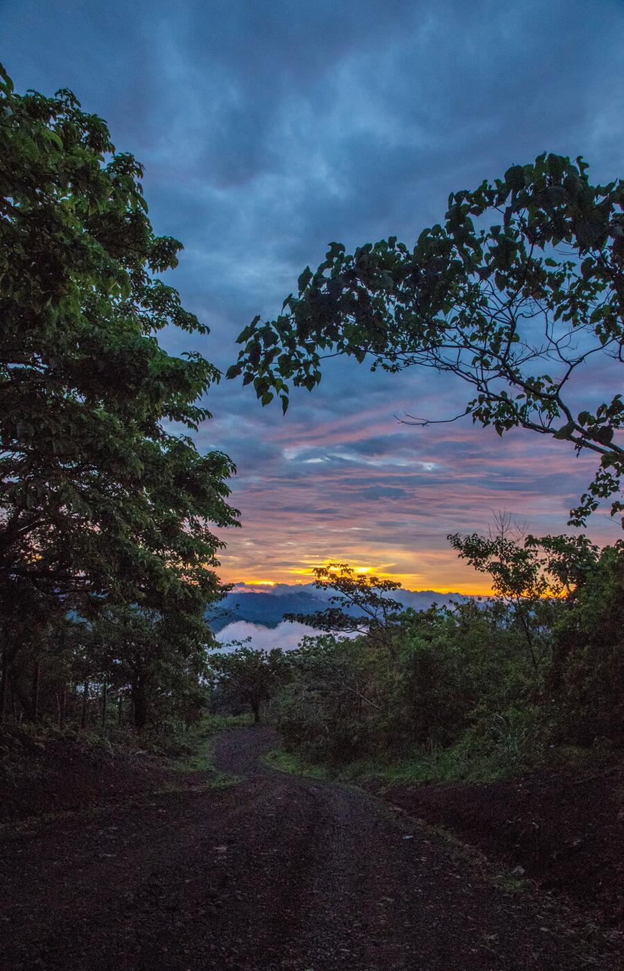 Foto: Robin Canfield. Guanacaste. Mirador El Tajo.